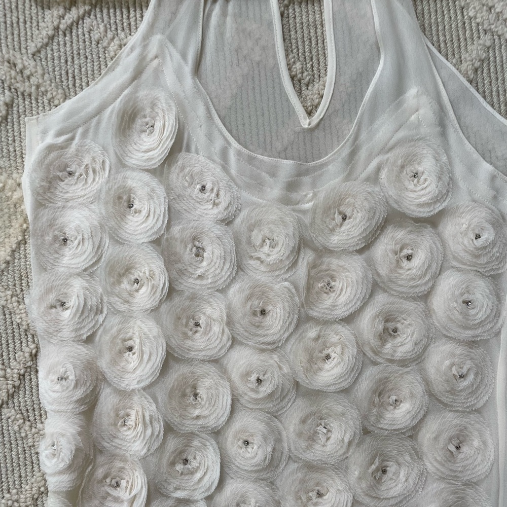 Robbi + Nikki chiffon rose top